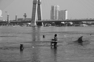 Nadar entre tiburones es lo propio de las emprendedoras valientes.